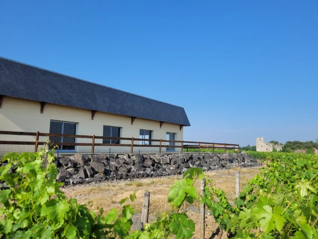 Montjean sur loire Domaine Delaunay